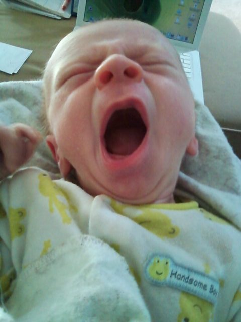 Our Little Monster