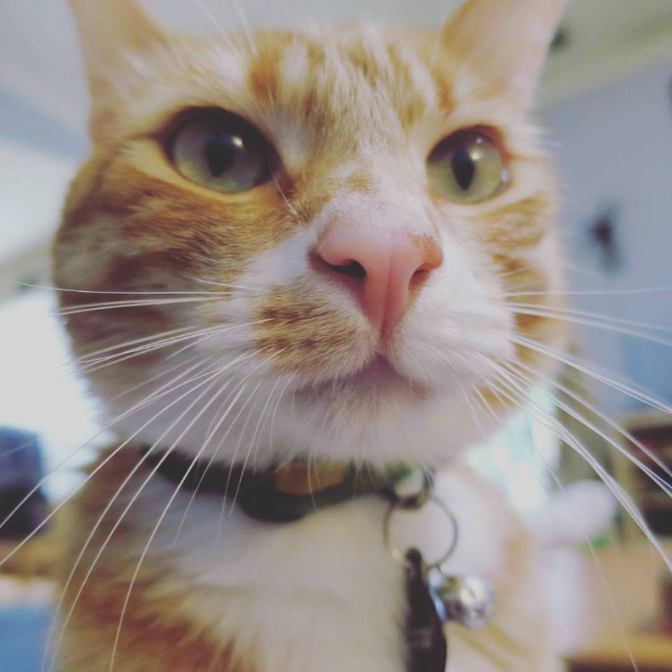 That's Magnus.